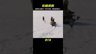 在零下50多度的北極，因紐特人生病了咋辦，他們又能住在哪兒？ #新聞 #社會 #M2檔案 #刑事案件 #大案紀實