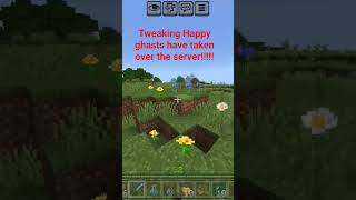tweaking Happy ghasts have taken over the server!!!!! #minecraft #soulforge #smp #happyghast