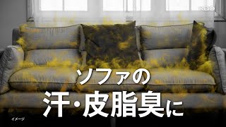 花王 リセッシュ 「ソファのニオイに」篇 動画広告 内村光良