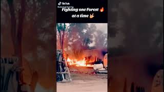 Fighting Wildfires #foryou #viral #fire #wildlife #nature #crowdfireapp #viraltimes