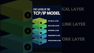 What is Networking Protocol
