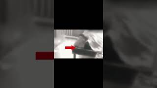死人復活了？#靈異​#探險#恐怖視頻​#超自然影片