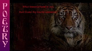 William Blake's poem: The Tyger