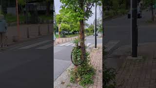 道路交通法違反