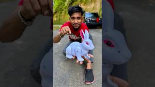 Amr RC Snake 🐍 and Rabbit 🐇😍