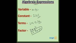 Algebraic Expressions Variable, Constant, Terms & Factors  NCERT Class 7th Maths Solution