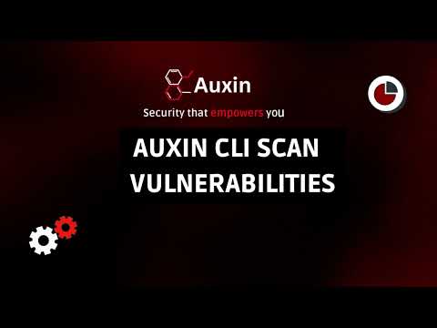 Auxin CLI Scan Vulnerabilities