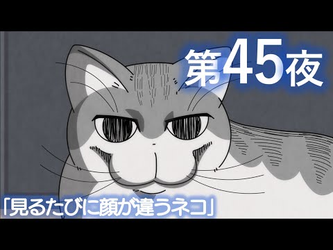 アニメ『夜は猫といっしょ』 第45夜「見るたびに顔が違うネコ」