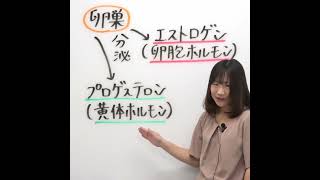 プロゲステロンは卵胞ホルモンである。〇or✕　#看護国試対策 #看護国試 #第113回看護師国家試験 #絶対合格 #さわ研究所