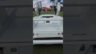 WHITE #LAMBORGHINI COUNTACH | Bad Blonde #car #history