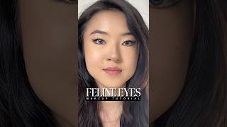 Feline eyes makeup tutorial 🐱✨ #makeuptutorial #makeuptips #makeup #makeup #beautytips #eyemakeup