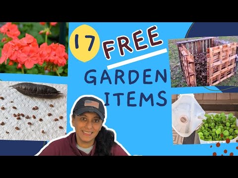 FREE Household Garden Items || Budget Gardening Vlog