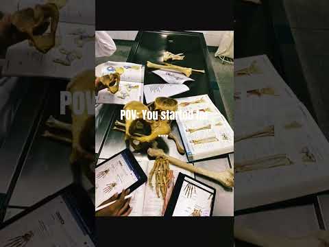 Motivation for med students #study #motivation #asthetic #unstoppable