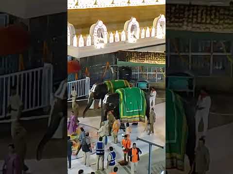 Tirumala sri vari Gajalu