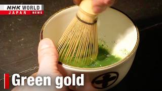 The matcha boom reshaping Kyoto's fieldsーNHK WORLD-JAPAN NEWS