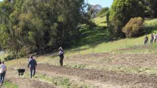 Dig Deep Farm, interview with Samual Faulkner
