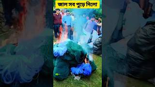 জাল সব পুড়ে দিলো #netfire #currentburnednet #shorts #fishnet  #poorpeople #Amazing #fishing