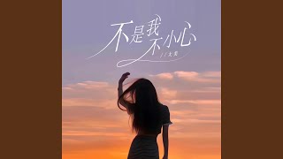 不是我不小心 (女版)