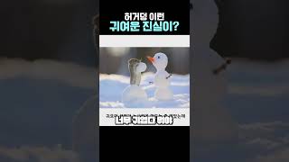 눈사람 만드는 생쥐 사진의 진실