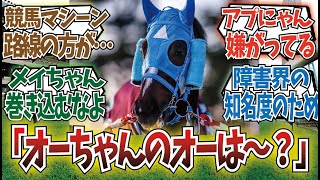 「障害競走馬がアイドルグループ結成」に対するみんなの反応集
