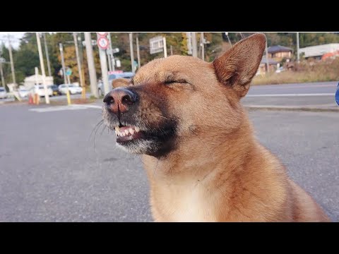 ララ子のクシャミ。