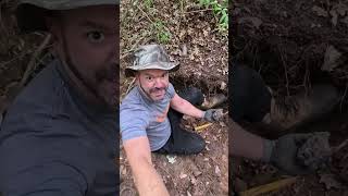 ADOLF HITLER head found