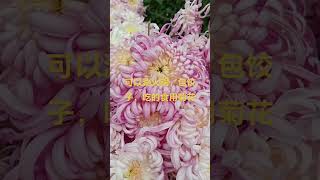 好看的花一定要分享给你 好吃的鲜花 赏花听歌美景如画 好吃的鲜花火锅分享给你花的世界很美 随手一拍都是美景