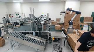 Cutting-edge Robot Palletizing System Revealed