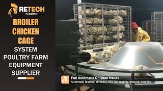 Broiler chicken cage system poultry farm equipment supplier - RETECH Farming #batterycage #poultry