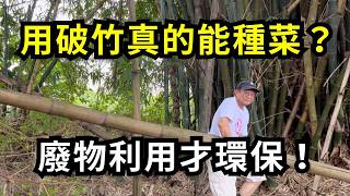 用廢竹能種菜嗎?從麻竹林砍老竹DIY種竹筒菜，製作竹器盆栽種菜方法分享，不花錢打造小菜園，實現自然廢棄物資源再利用的價值| 阿星種植