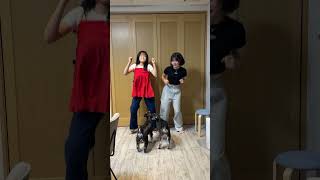 【回し蹴り界隈】姉妹でTikTokで流行ってるカップルダンスを踊ってみたら1人なんか楽しそうwww【即興ダンス】#Shorts