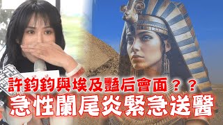 許鈞鈞與埃及豔后會面？？急性闌尾炎緊急送醫｜壹蘋新聞網