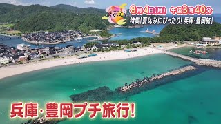 「news おかえり」8月4日（月）午後3時40分～放送