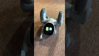 Loona. Little pet robot trying to stand up