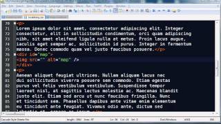 Web Development Solution Video Part 3 of 4