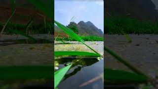 iPhone video 📷 #iphone #iphoneunbox #iphoneonly #iphoneindia  #iphonevideograpy #apple #shorts #new
