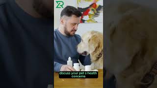Affordable Online Vet Care for Pets | Rex Vets – Anytime, Anywhere #petcare
