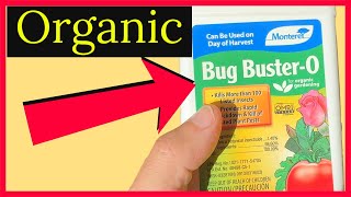 Monterey Lawn and Garden LTG6398 Bug Buster-O Spray, 8-Ounce,White