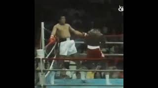 Muhammad Ali dodges 21 punches in 10 seconds.