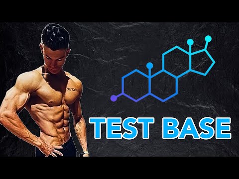 Why do we need a testosterone base ?