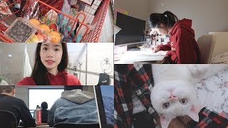 【大学VLOG】Back to School的小日常📚 | 开学啦 | 新发色💇