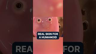 Real skin for humanoid robot | Amazing technology | Pro robots
