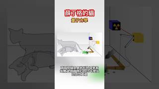 薛丁格的貓 #量子力學