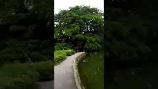 Nature view 😍#fypyoutube #nature #love #subscribe #fyp2025 #fypviral