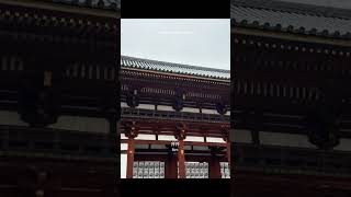 我懂 彭于晏 舒淇 冬天的秘密  奈良 东大寺 旅行推荐官 东方美学 古建筑 推荐官 古建筑之美 图文 #旅行推荐官 #导游 #Guide #带团 #Kyoto
