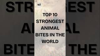 Top 10 Strongest Animal Bites in the World #top10 #animalbites #sciin60 #animals