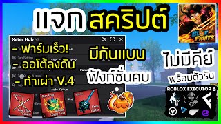 แจกสคริป Blox Fruits มือถือล่าสุด ออโต้ฟาร์ม ฟังก์ชั่นครบ กันแบน! [ไม่มีคีย์] | โปร Roblox มือถือ🔥✅