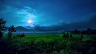 【α波】 睡眠用BGM 10分で寝れる音楽