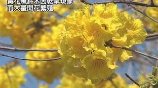 【人間菩提】20150309 - 以法去瞋得平安