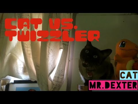 Cat VS TWIZZLER (liquorice are not toys)